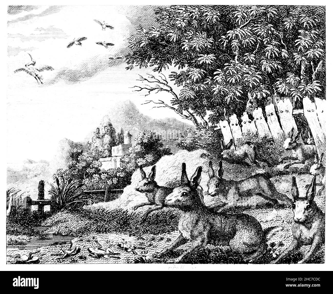 Illustrazione incisa di Hares e rane in una tempesta, con la morale, è sempre qualcuno, peggio di te stesso, dalla prima edizione del 1793 di St Foto Stock