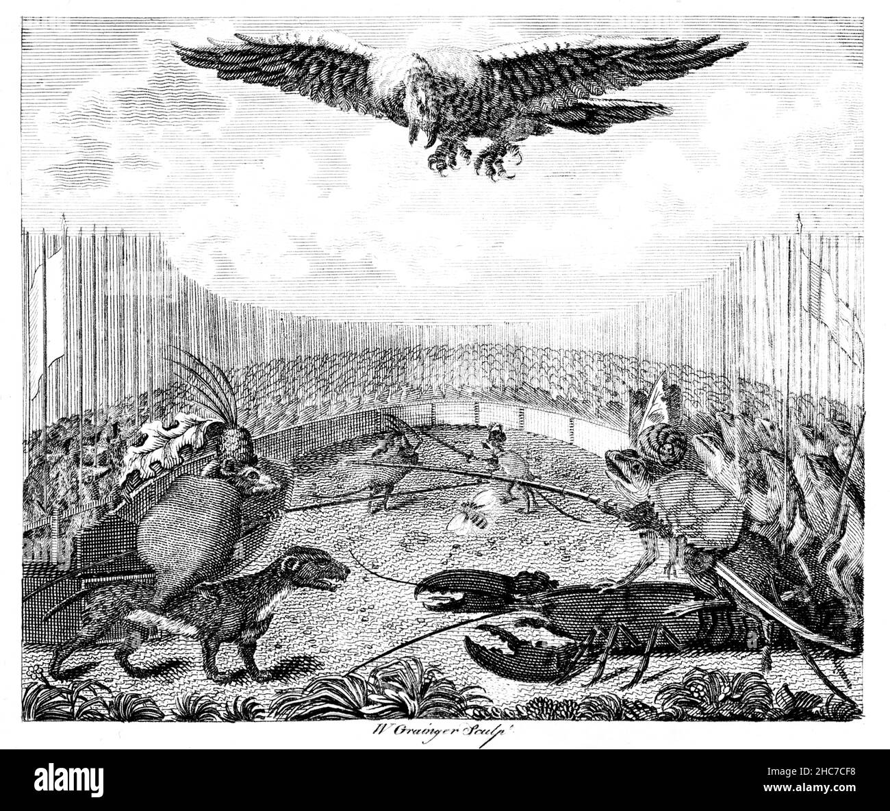 L'illustrazione incisa del Kite, della rana e del mouse, con la morale, entrando in una battaglia con una testa calda, ti lascia aperto ad attaccare, da 1793 Fir Foto Stock