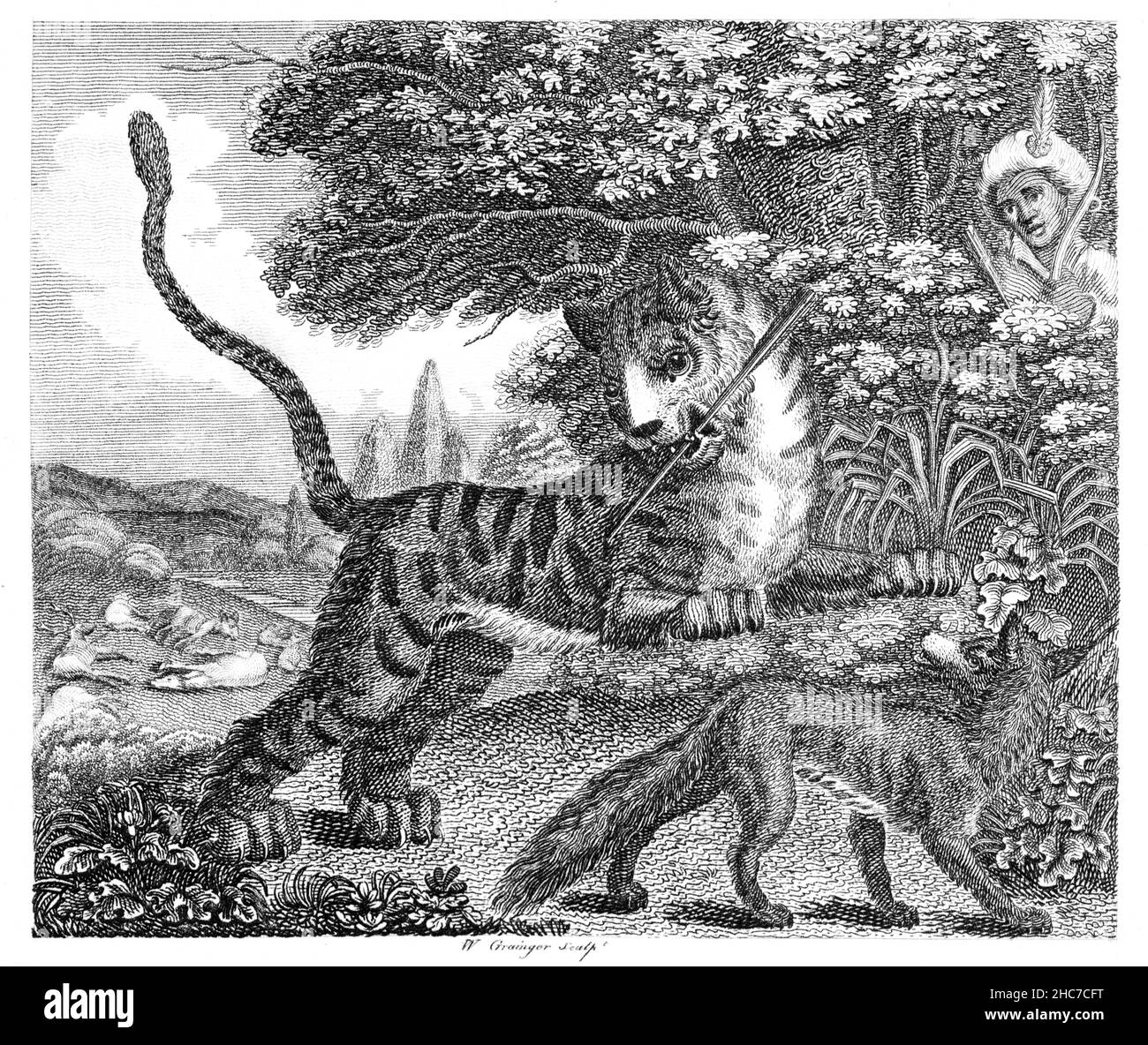 Illustrazione incisa della volpe e della tigre, con la morale, c'è sempre una parte vulnerabile nella armatura più forte, dalla prima edizione 1793 Foto Stock