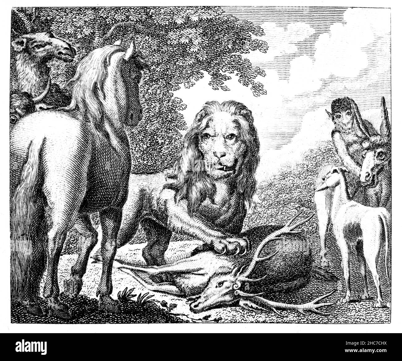 Illustrazione incisa del Leone e delle altre bestie, racconto della fragilità delle alleanze tra parti disuguali, dalla prima edizione del 1793 di Stockdale Foto Stock