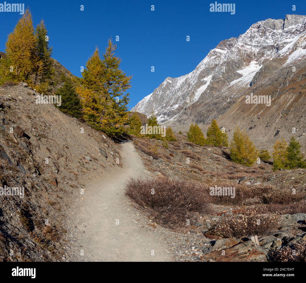 Paesaggio alpino svizzero in autunno. Sentiero escursionistico verso langgletscher attraverso la foresta di larici. Foto Stock