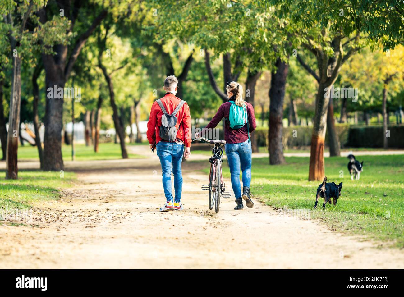 Due amici che camminano due cani in un parco urbano Foto Stock