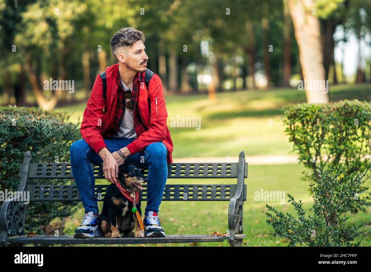 L'uomo che guarda da parte distratto mentre si siede su una panca con un cane in un parco Foto Stock