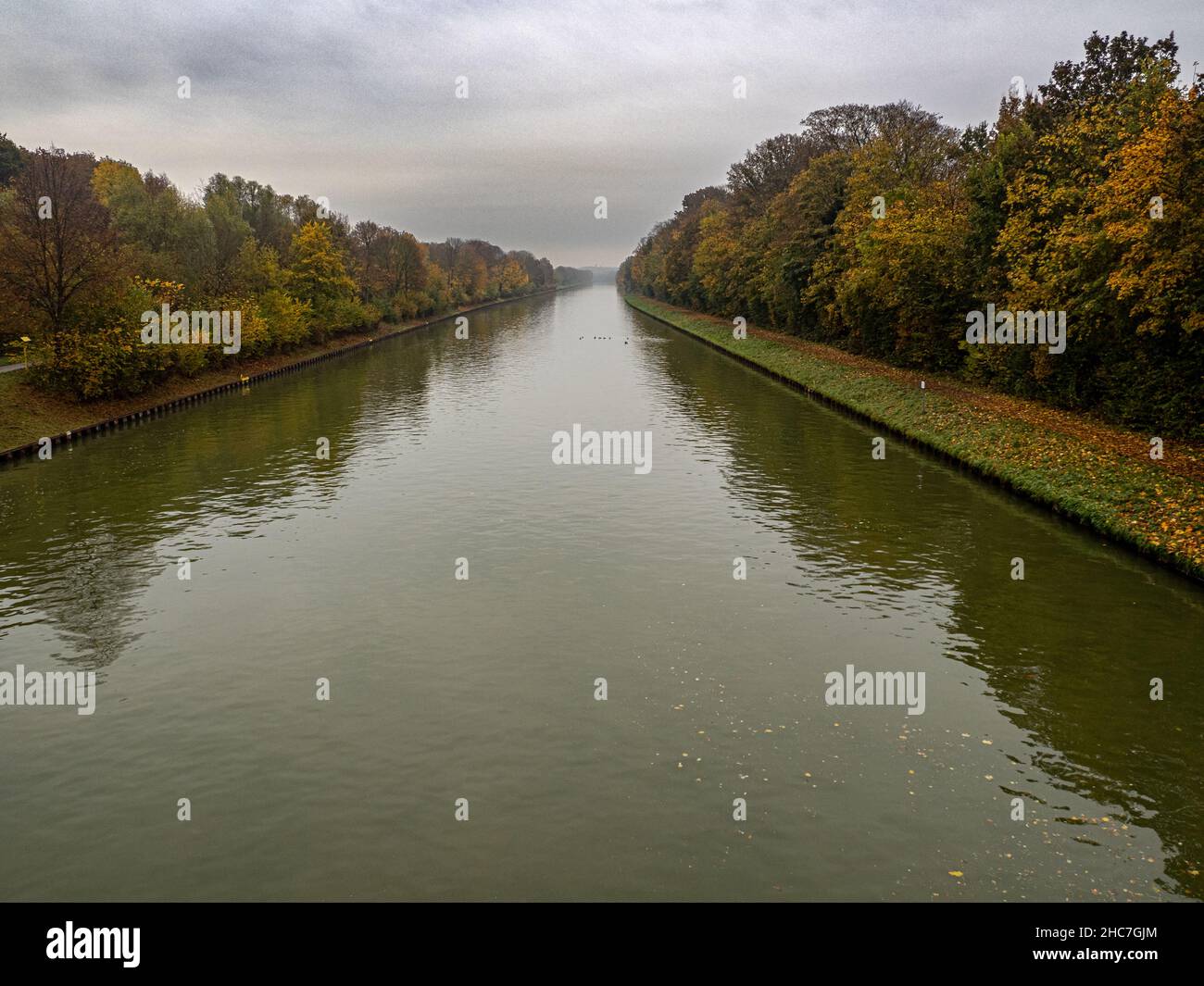 Fiume che scorre attraverso le foreste in una giornata di nebbia Foto Stock