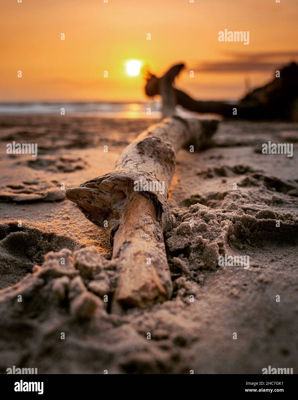 Scatto verticale di un bastone a una spiaggia di sabbia nuda vicino a un mare sotto il tramonto Foto Stock
