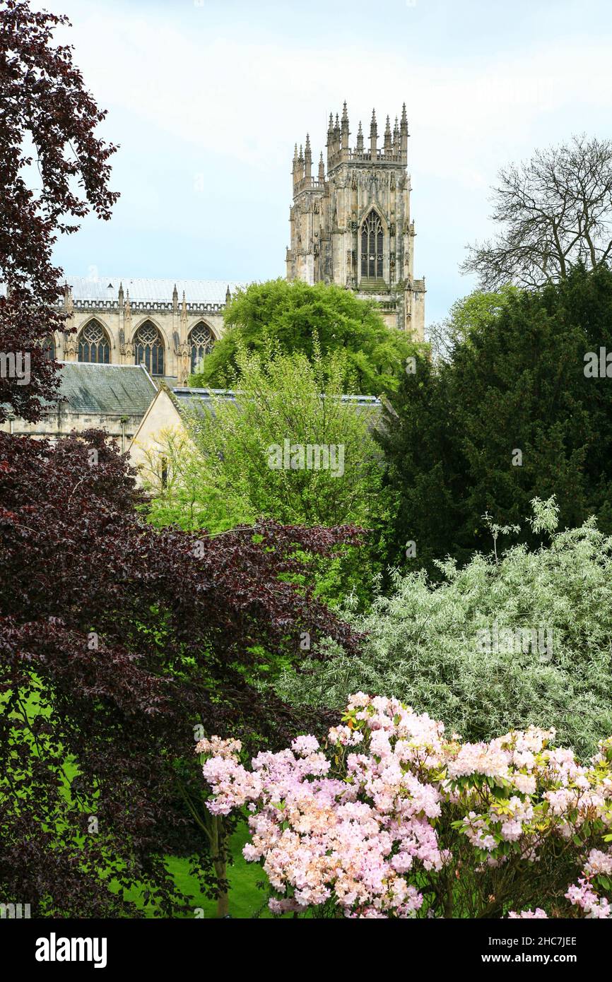 York Minster Towers sorge sopra i giardini Foto Stock