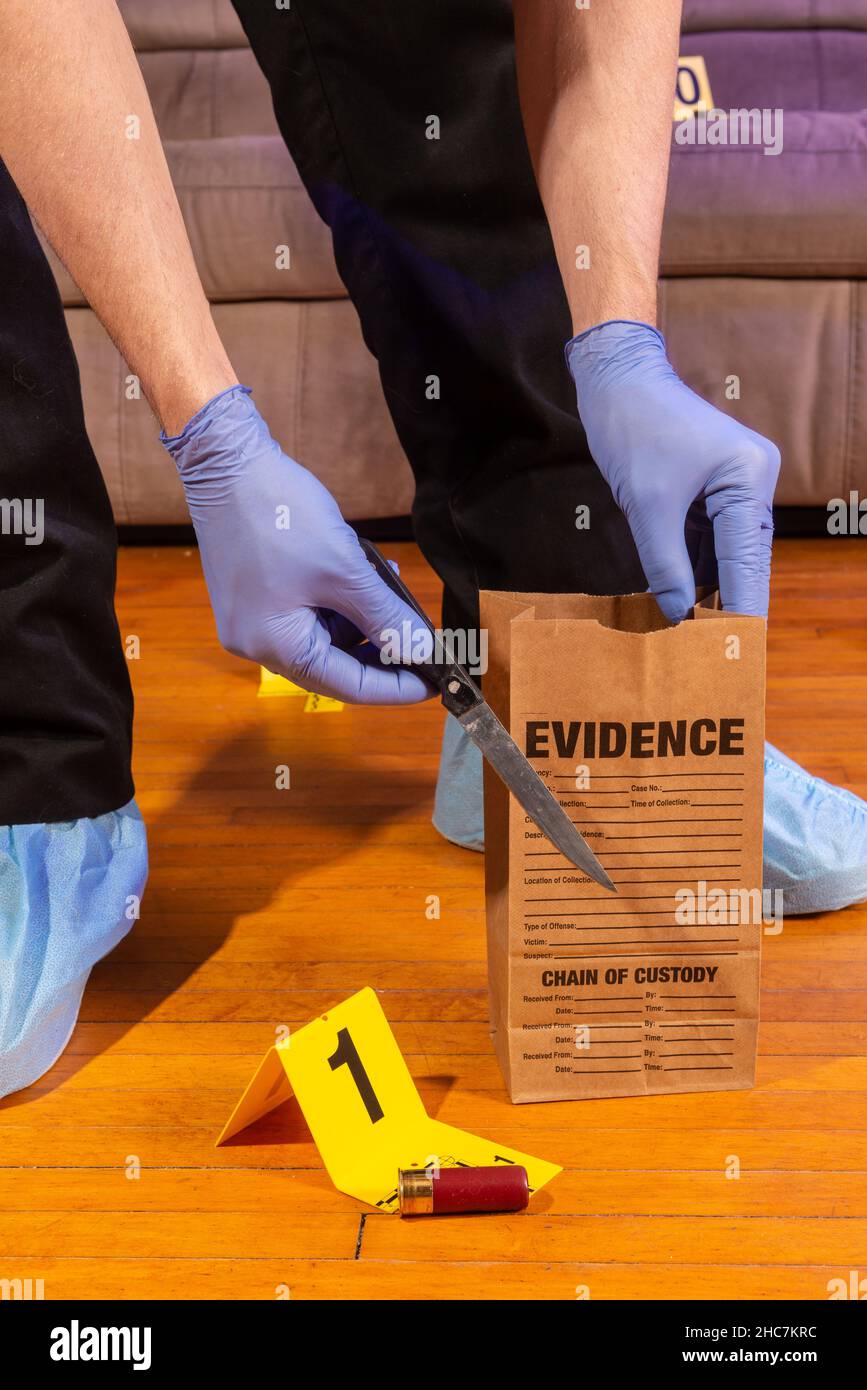 Un tecnico della scena del crimine mette un coltello in una borsa delle prove con altri elementi di prova sparsi intorno a una scena del crimine. Foto Stock