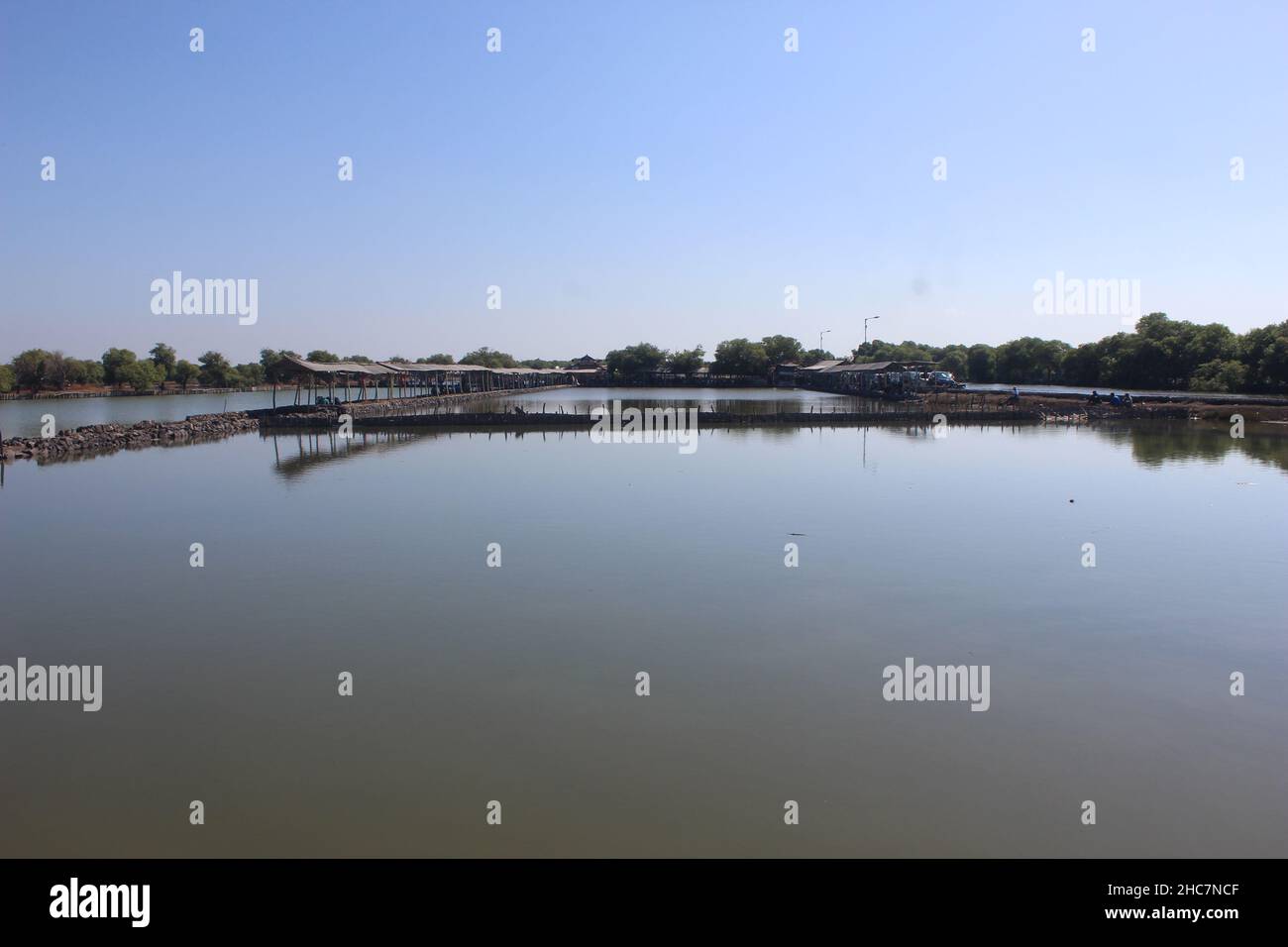 Stagni di acquacoltura che producono pesce e sono utilizzati per i terreni di pesca Foto Stock