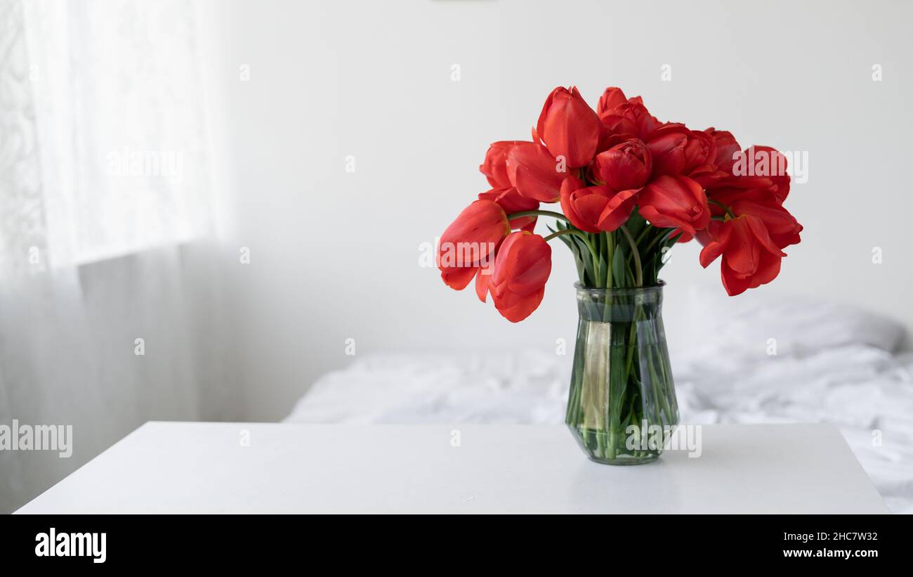 Vaso di vetro con fiori di tulipano rosso in una camera da letto interna accogliente e luminosa. Parete bianca, letto con biancheria bianca. Banner. Casa vacanza luogo Foto Stock