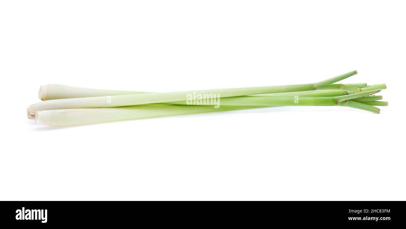 Fresco di erba di limone su sfondo bianco Foto Stock