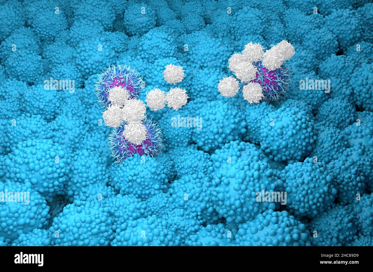 Le cellule T attaccano le cellule di cancro pancreatico 3D rendono illustrazione Foto Stock