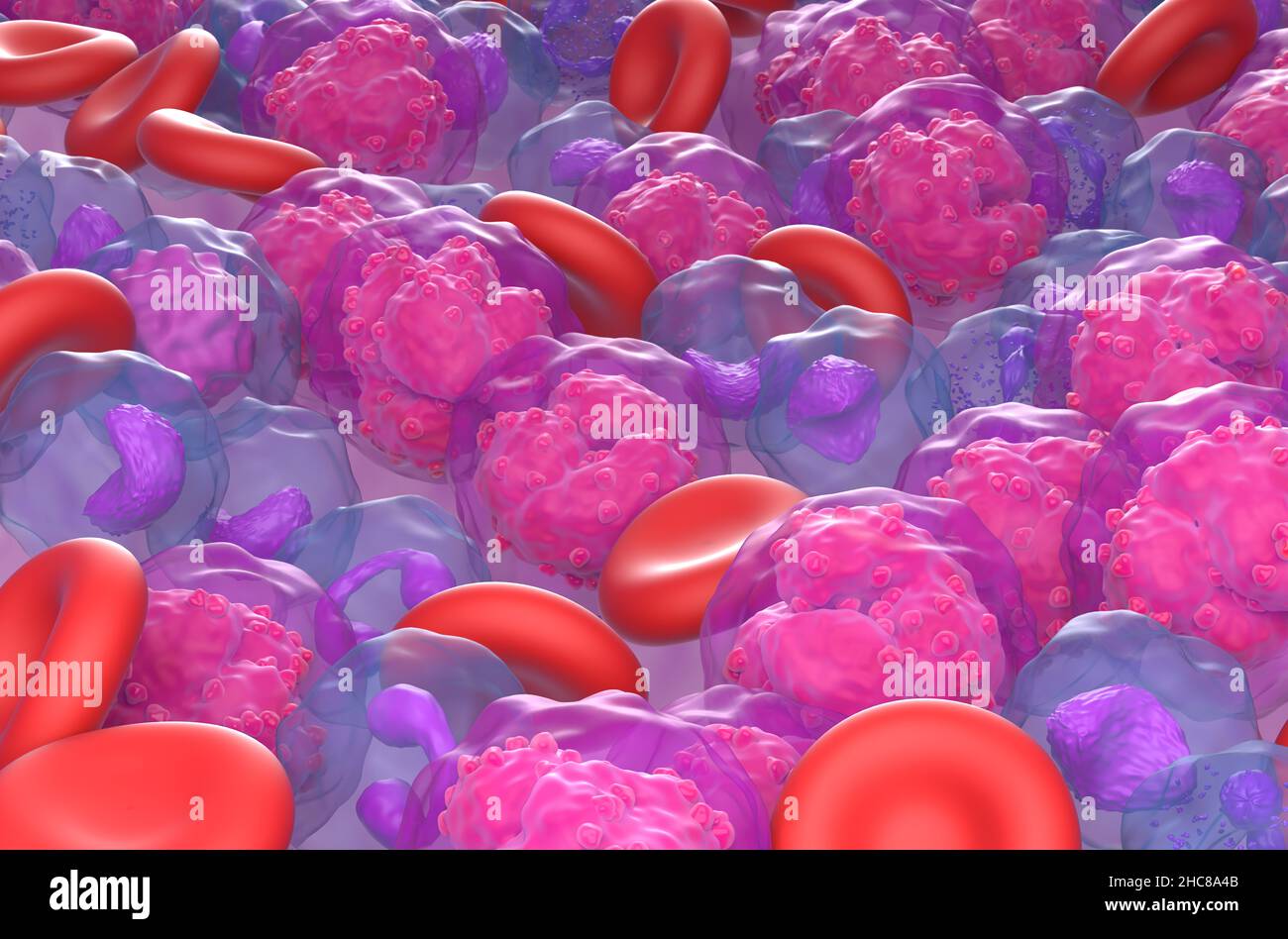 Leucemia linfoblastica acuta (TUTTE) cellule tumorali nel flusso sanguigno - primo piano di campo vista 3D illustrazione Foto Stock