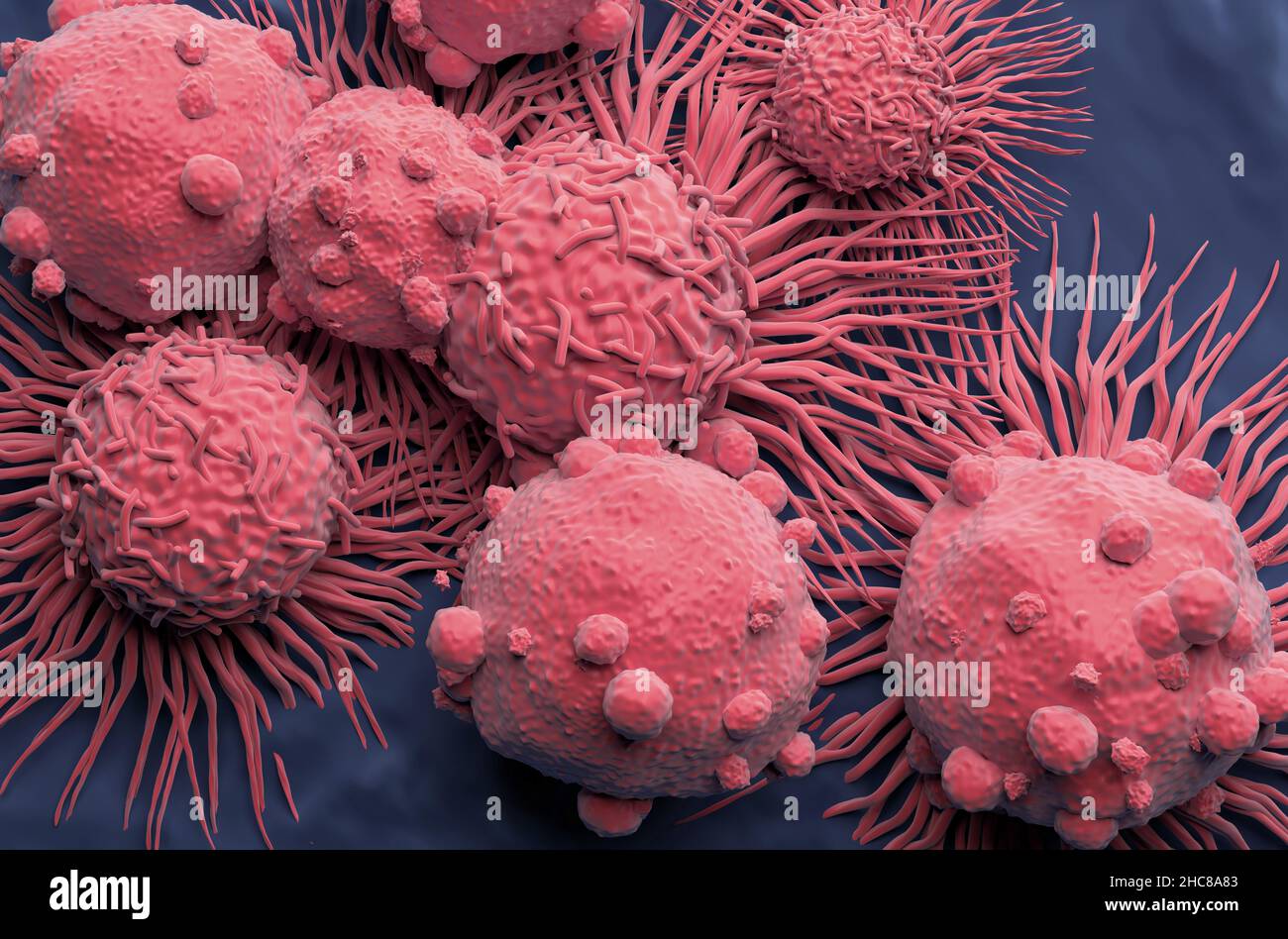 Campo di cellule di carcinoma nel cancro ai reni - vista dall'alto illustrazione 3D Foto Stock