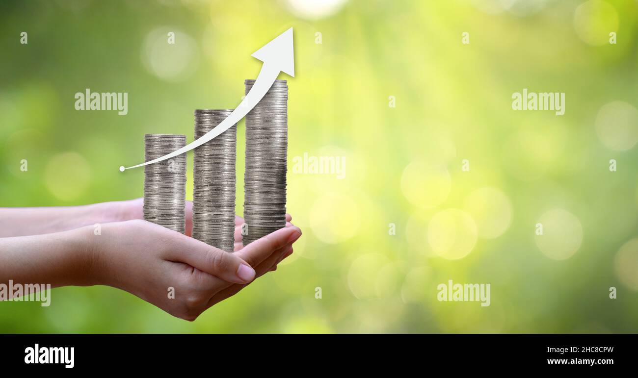 Lato albero di monete l'albero cresce sulla pila. Risparmio di denaro per il futuro. Le idee di investimento e crescita aziendale. Sfondo verde con bokeh sun Foto Stock