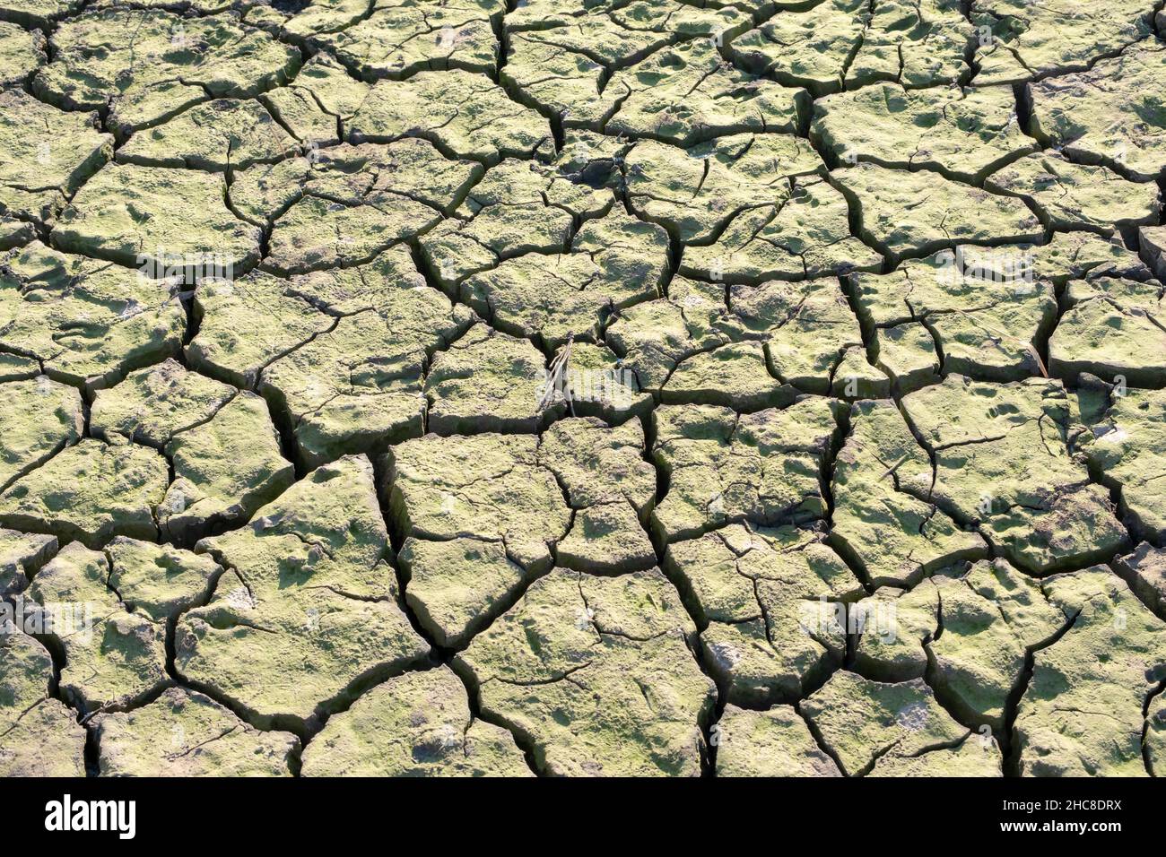 Letto di fiume asciutto. Letto di fiume asciutto e vuoto con terreno incrinato. Concetto di riscaldamento globale. Paesaggio piatto deserto piano, asciutto su serbatoio, terra arida shatteri Foto Stock
