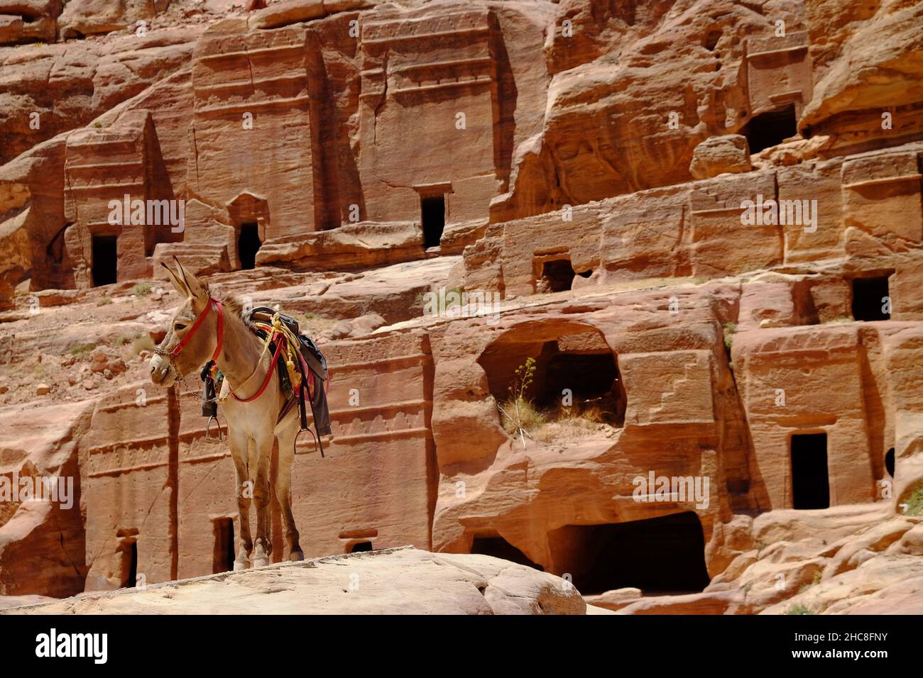 Splendida vista di Petra, un famoso sito archeologico nel deserto sud-occidentale della Giordania Foto Stock