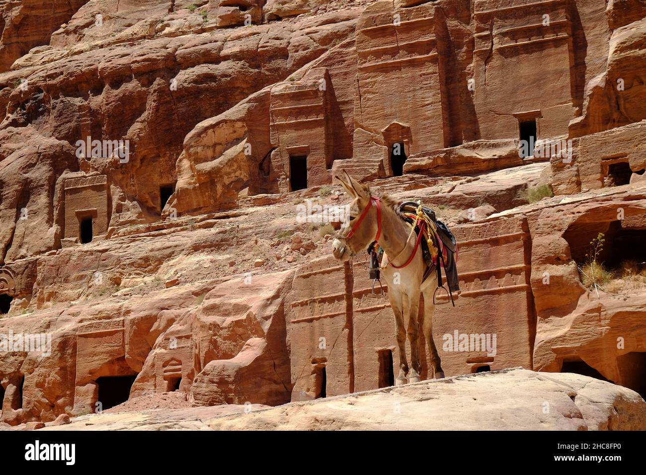 Splendida vista di Petra, un famoso sito archeologico nel deserto sud-occidentale della Giordania Foto Stock