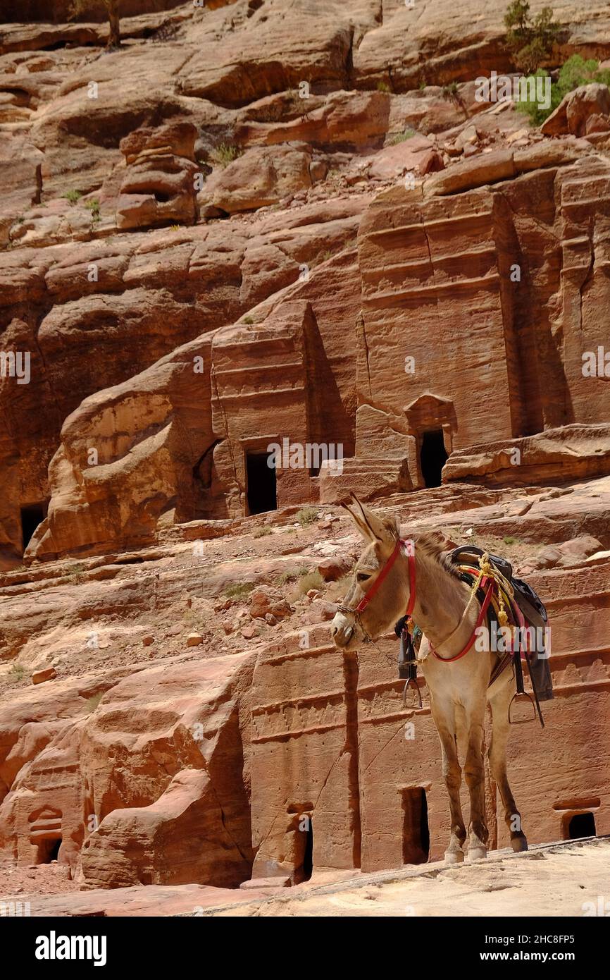 Splendida vista di Petra, un famoso sito archeologico nel deserto sud-occidentale della Giordania Foto Stock