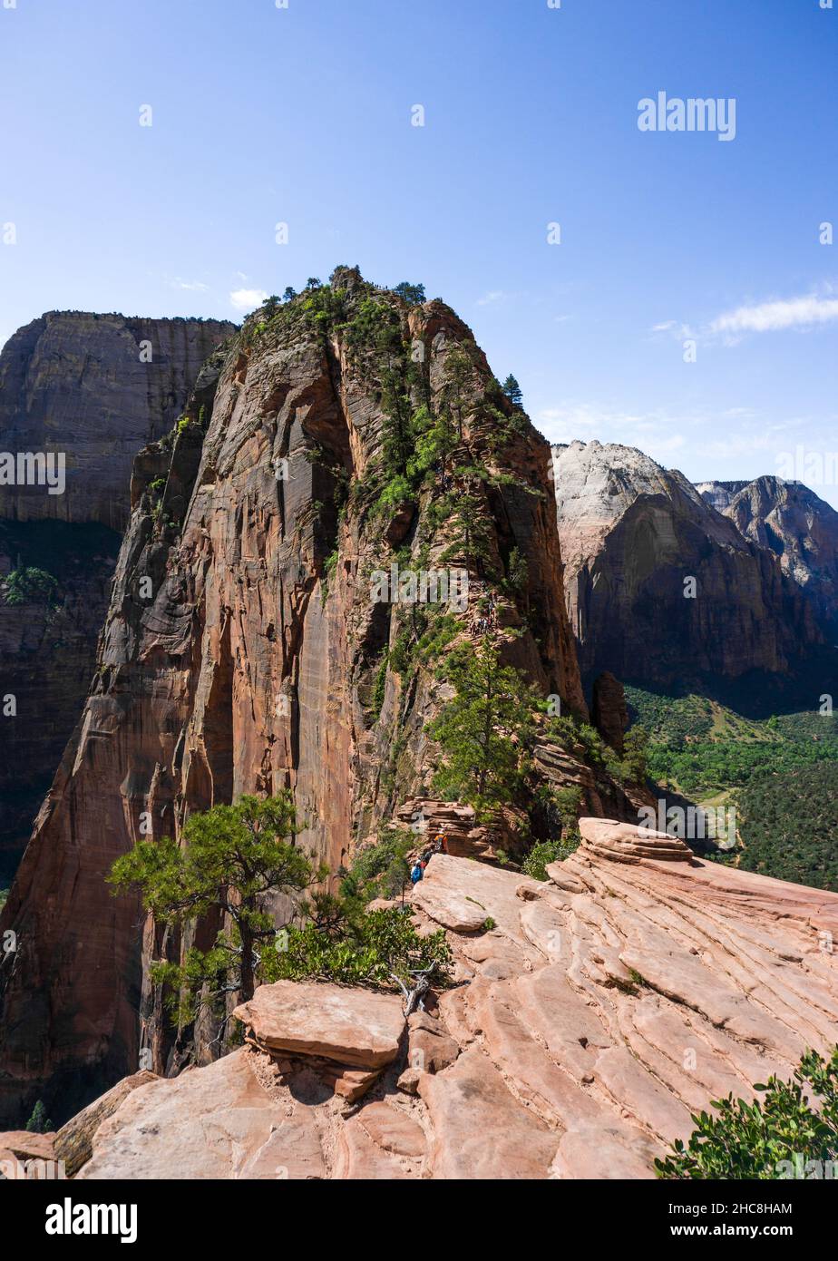 Top degli angeli lo sbarco nel Parco Nazionale di Zion, Utah, Stati Uniti d'America Foto Stock