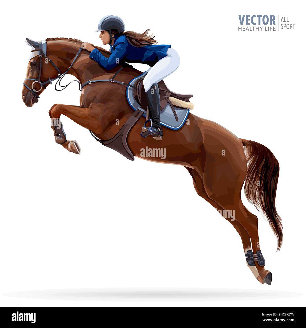 Jockey a cavallo. Campione. Equitazione. Sport equestre. Jockey cavallo salto cavallo. Poster. Illustrazione del vettore isolato. Sfondo sportivo. Illustrazione Vettoriale