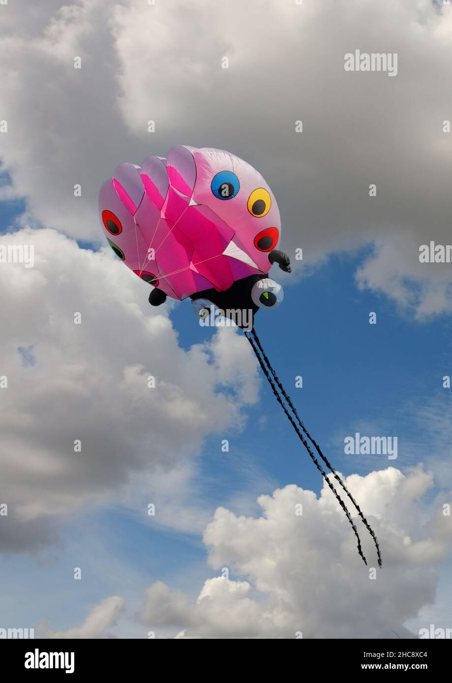 Un grosso aquilone rosa che vola contro un cielo poco nuvoloso Foto Stock