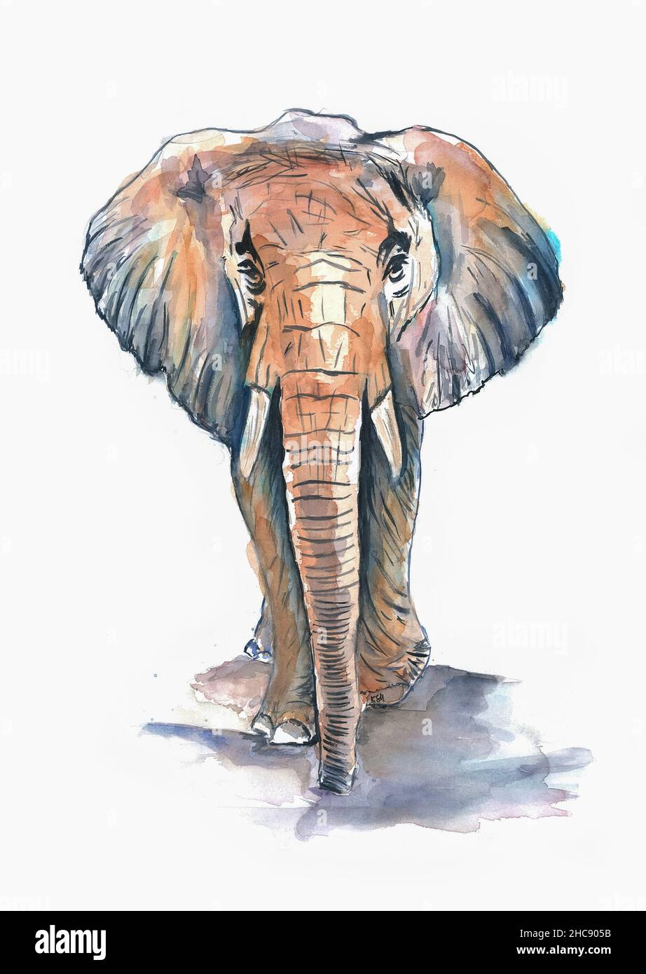 Illustrazione dell'acquerello. Acquerello elefante pittura. Elefante a piedi. Dipinto a mano Foto Stock