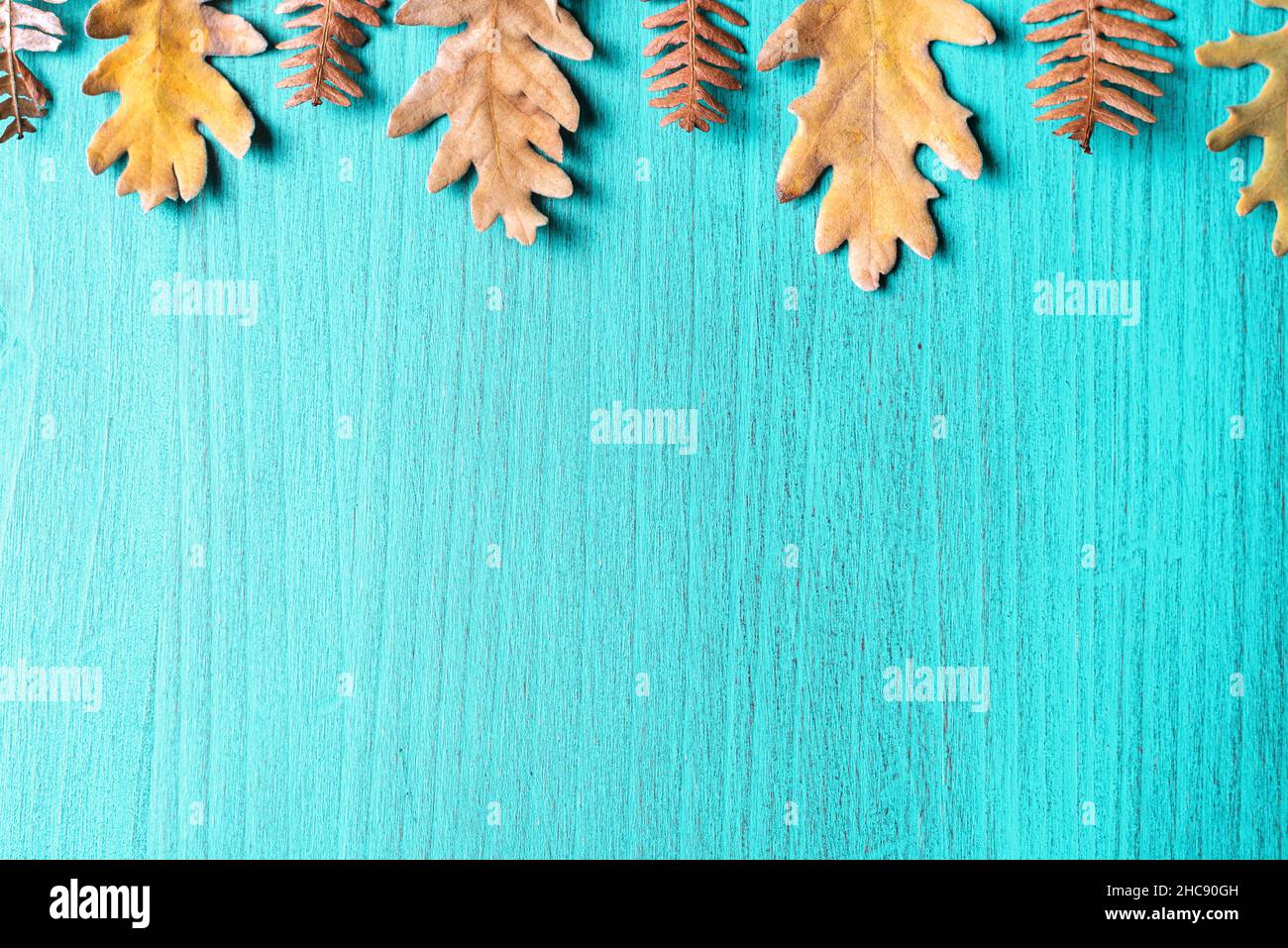 Sfondo di legno blu verdastro con foglie d'autunno asciutte sulla parte superiore. Spazio di copia. Foto Stock