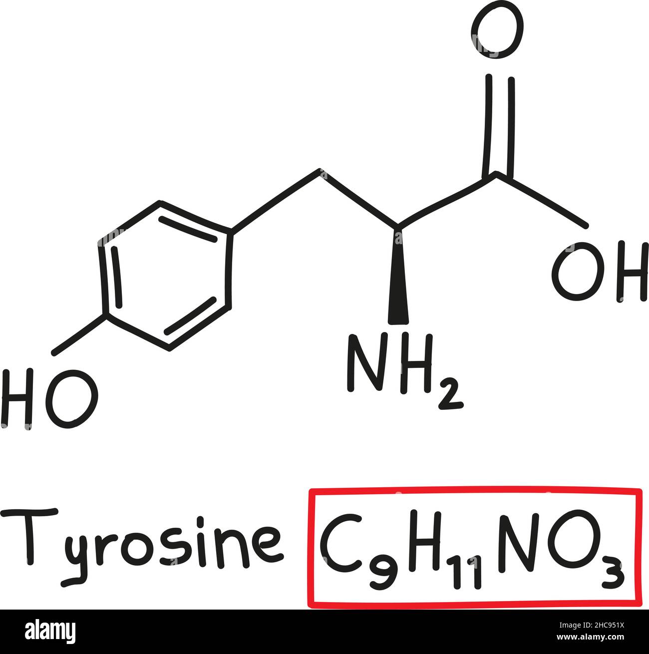 Formula molecolare chimica disegnata a mano di amminoacido tirosina nello stile di doodle isolato. Illustrazione Vettoriale
