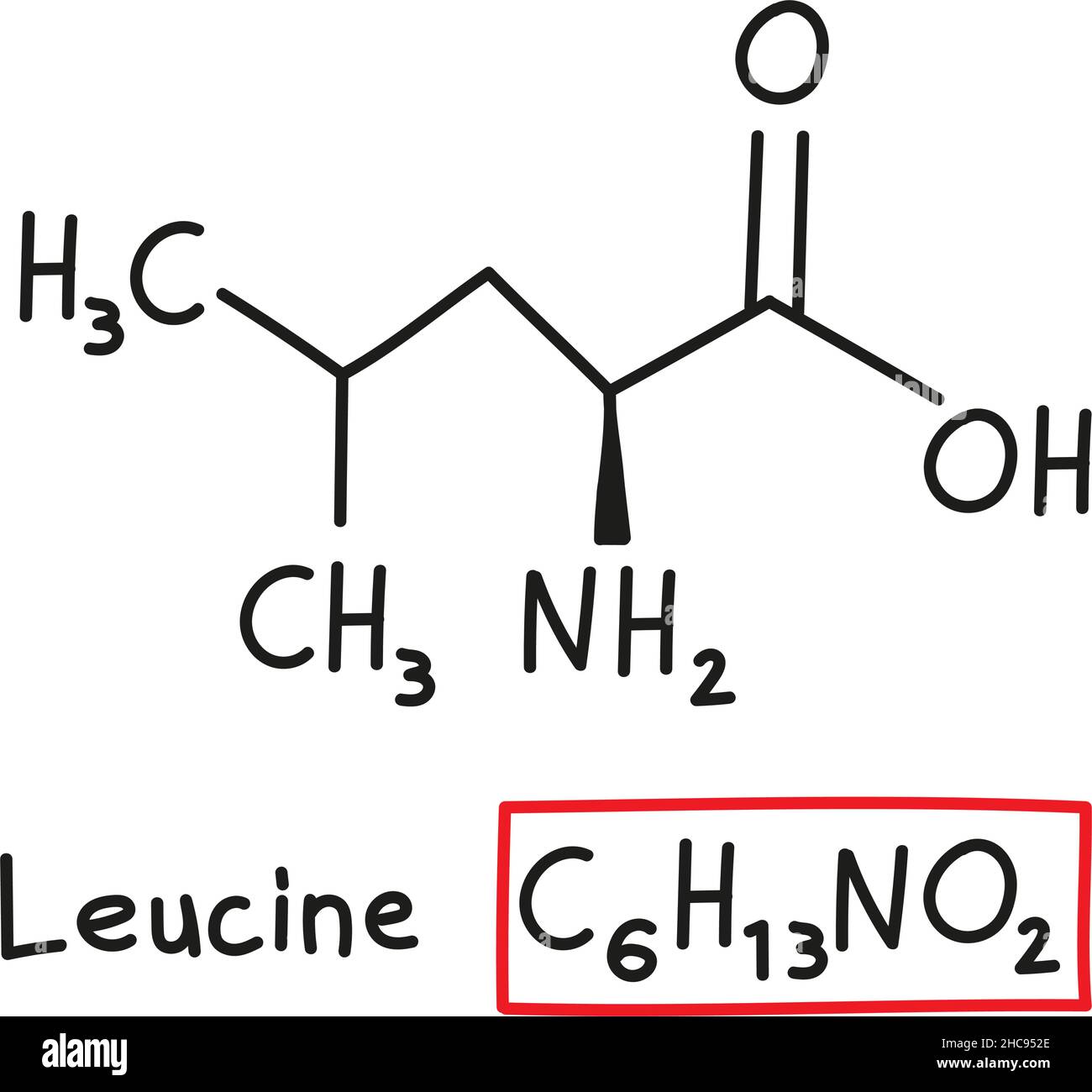 Formula molecolare chimica disegnata a mano di aminoacido leucina in stile doodle isolato. Illustrazione Vettoriale