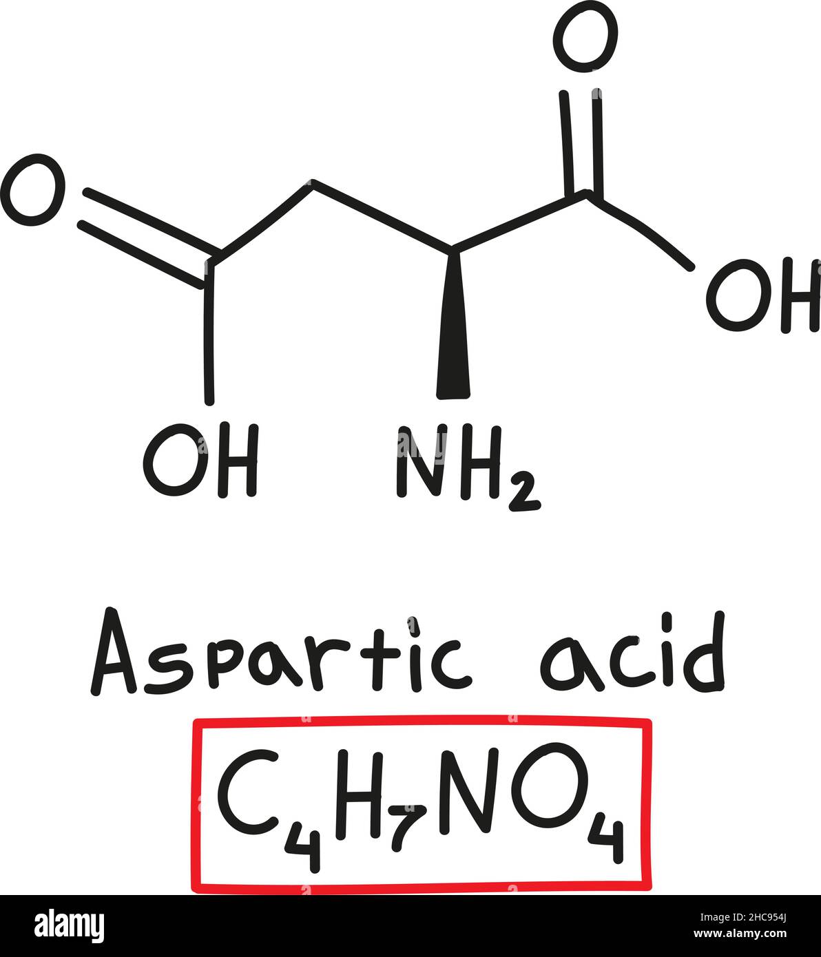 Formula molecolare chimica disegnata a mano dell'acido amino aspartico nello stile di doodle isolato. Illustrazione Vettoriale
