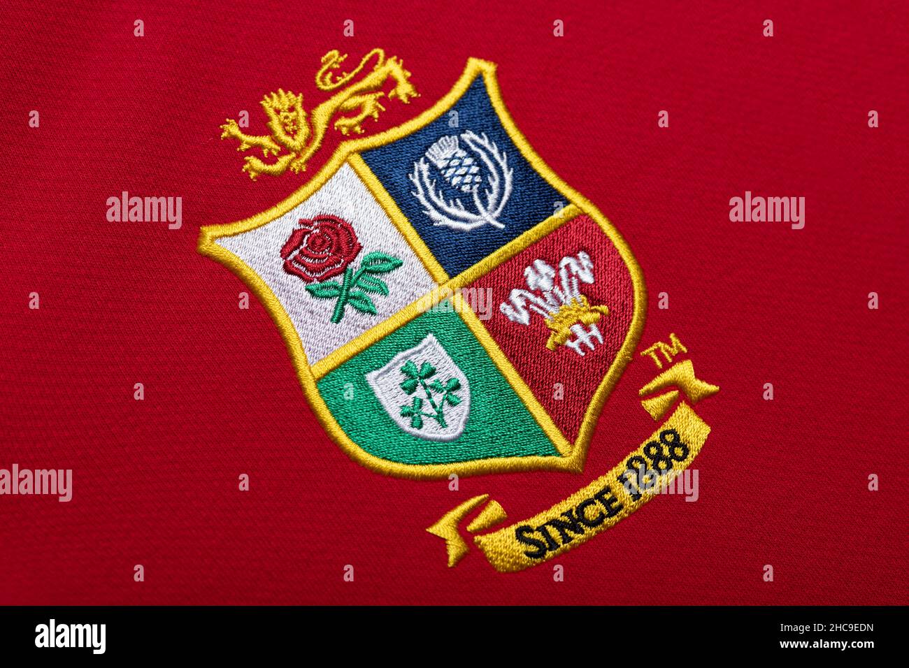 Primo piano della maglia del team di rugby dei Lions britannici e irlandesi Foto Stock