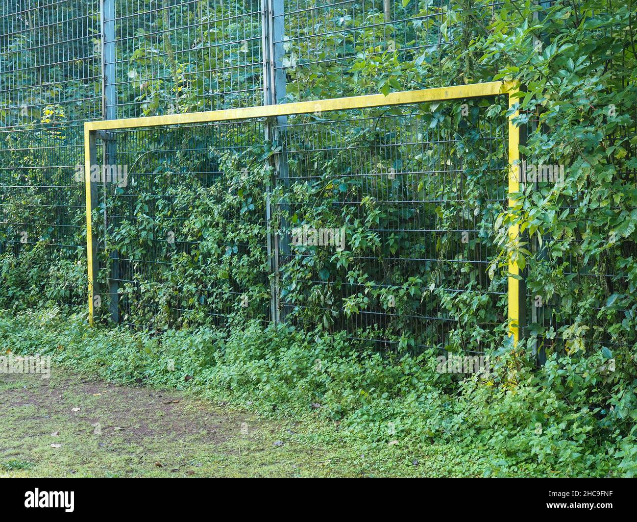 Calcio cancello con uno sfondo di una foresta lussureggiante Foto Stock