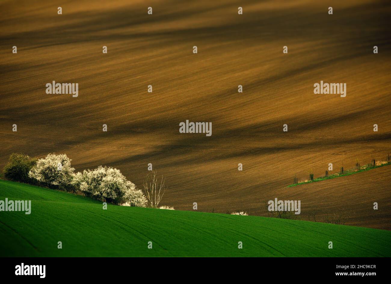 Un paesaggio di coltivazioni agricole e frutteti in Moravia, Repubblica Ceca Foto Stock