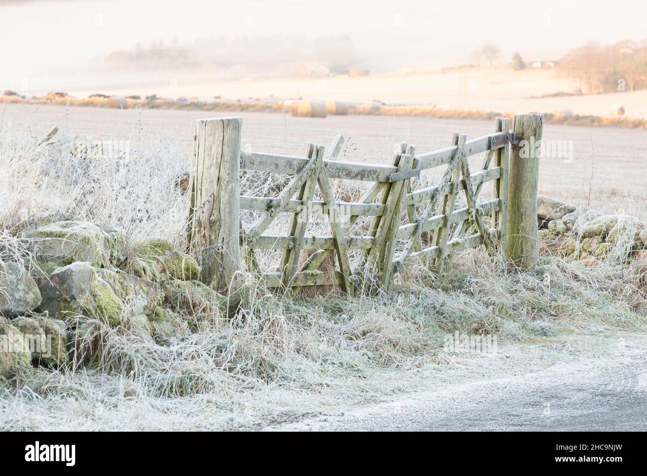 Un Five Bar Gate chiuso coperto con Frost in una fredda mattina invernale nella campagna dell'Aberdeenshire, con il primo Sunshine su campi in lontananza Foto Stock