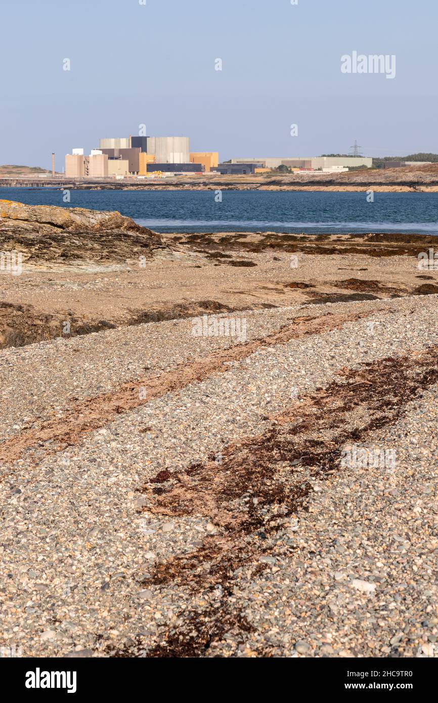 Centrale nucleare Wylfa magnox, Anglesey, Galles del Nord Foto Stock