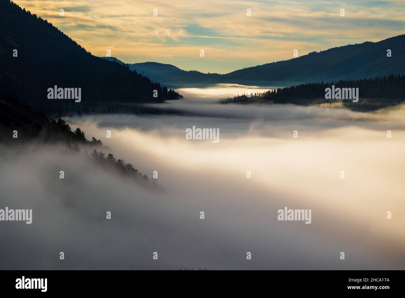 I raggi del sole cadono sulla vegetazione ricoperta di nebbia e sulle cime di una catena montuosa Foto Stock