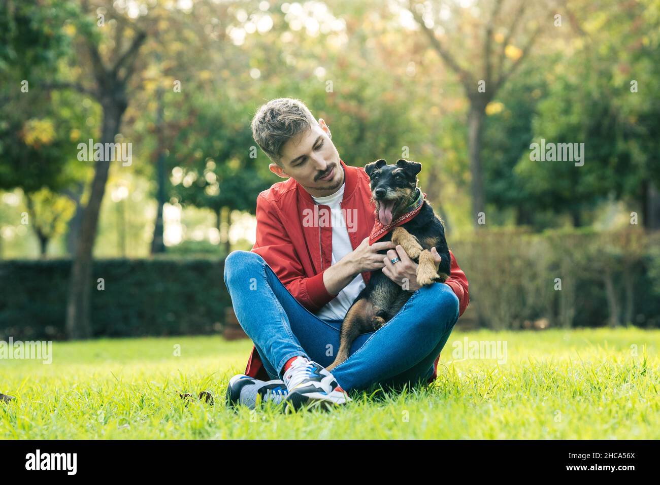 Uomo seduto sull'erba accarezzando un cane in un parco Foto Stock