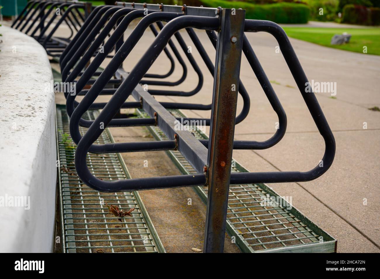 Parcheggio per biciclette all'aperto circondato da lussureggianti cespugli verdi e erba rifinita in un parco Foto Stock