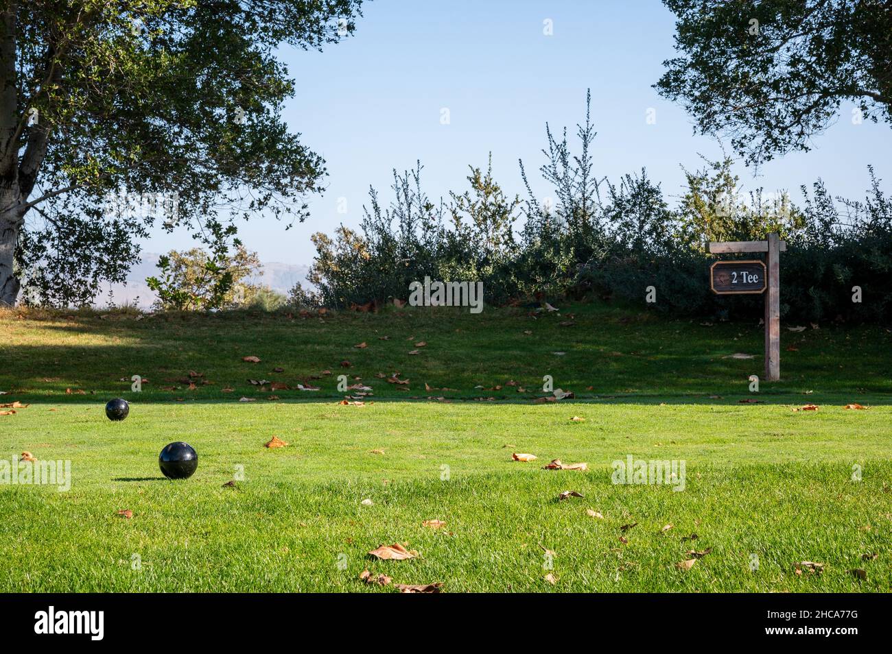 Parco incantevole per giocare a golf con palle sull'erba vibrante sotto un cielo chiaro e luminoso Foto Stock