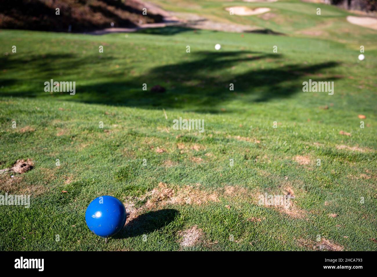 Palla blu brillante in un lussureggiante campo di erba rifinita in una bella giornata di sole Foto Stock