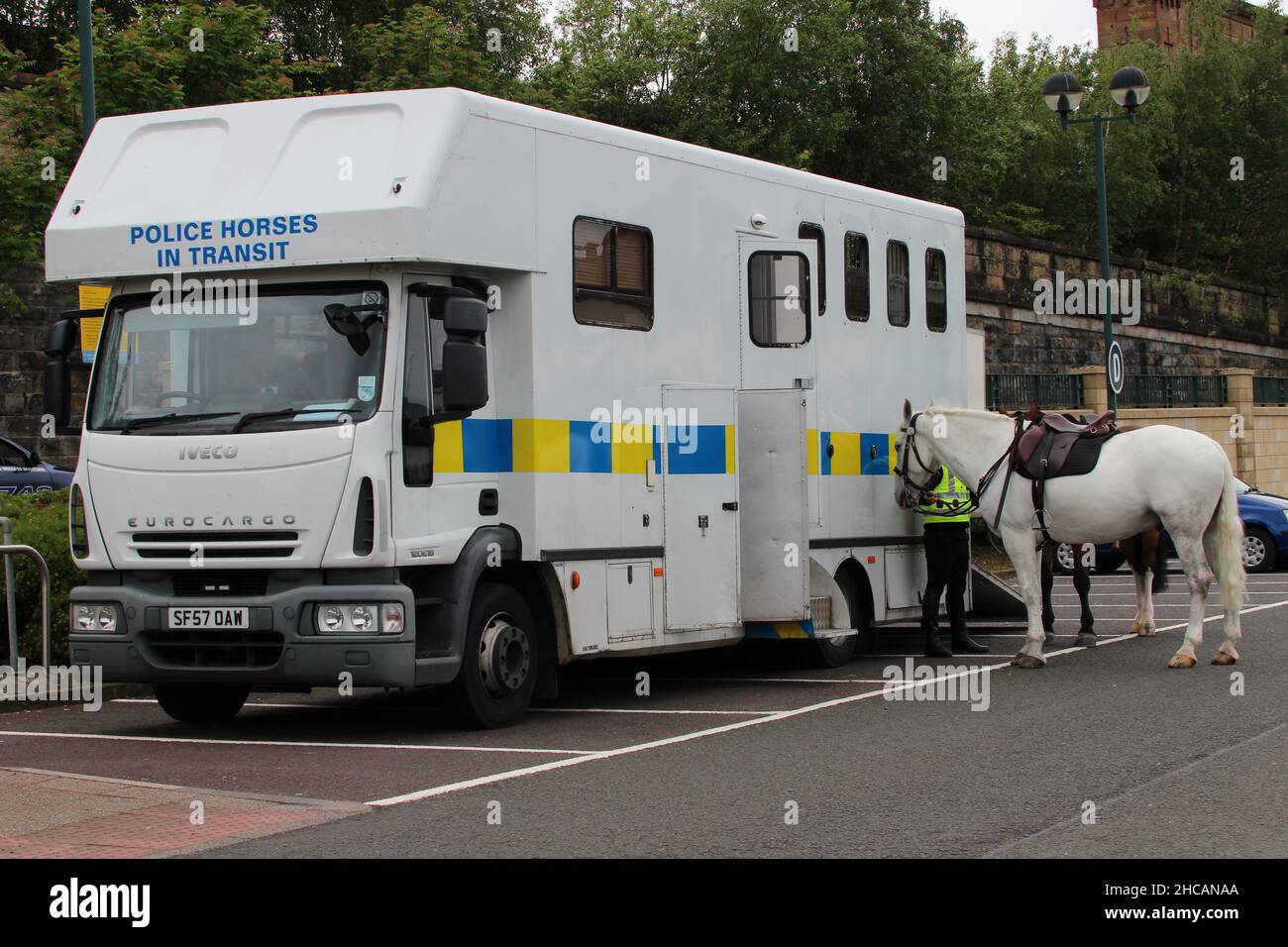 SF57 OAW, un camion Iveco EuroCargo gestito dalla polizia Scozia nel ruolo di trasporto di cavalli, a Greenock in Inverclyde, Scozia (con cavalli). Foto Stock