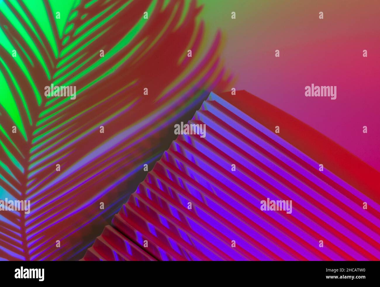 Foglie di palma su sfondo astratto con podi in luce al neon. Forme geometriche alla moda per i prodotti. Luce sfumata viola e verde. Minimalismo, Foto Stock