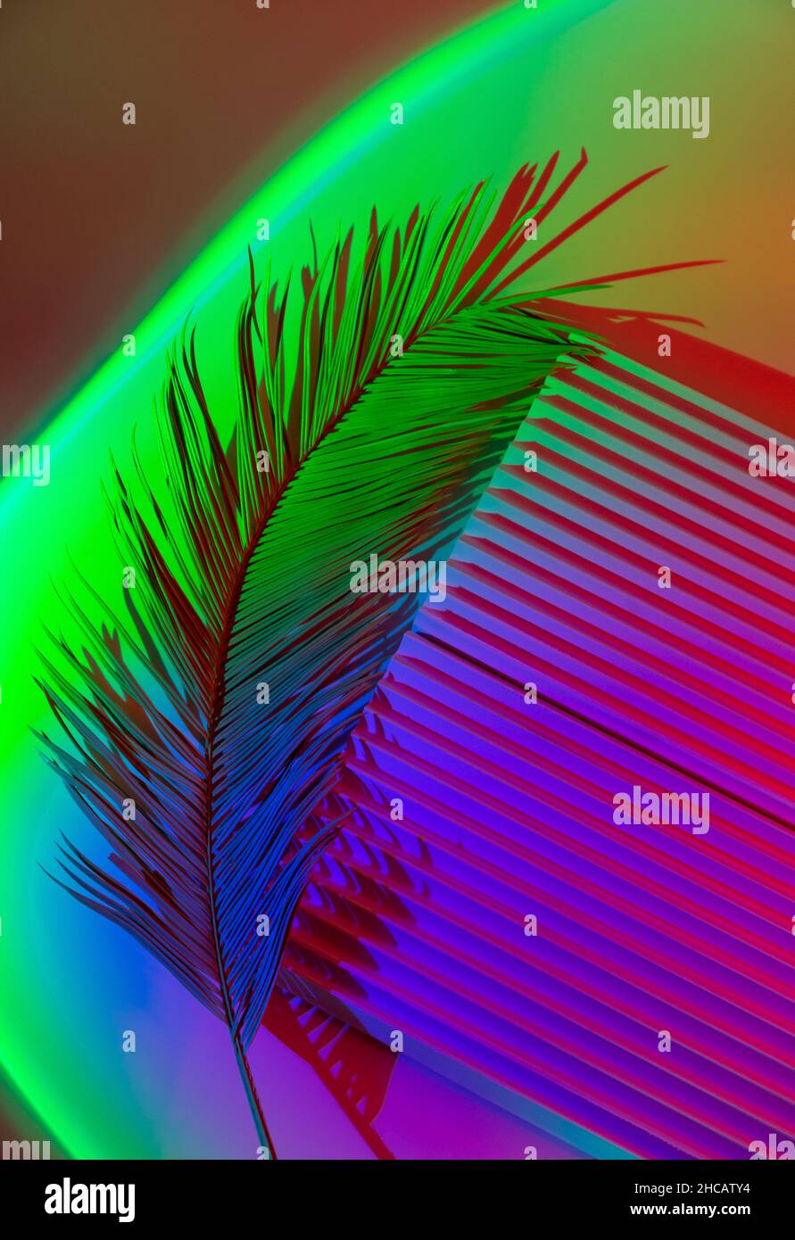 Foglie di palma su sfondo astratto con podi in luce al neon. Forme geometriche alla moda per i prodotti. Luce sfumata viola e verde. Minimalismo, Foto Stock