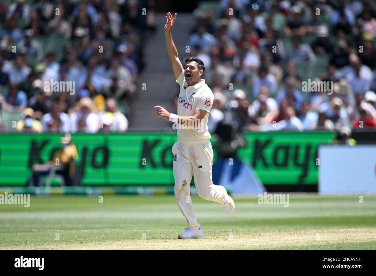 Melbourne Cricket Ground, Melbourne, Australia. 2nd Dic 2021. The Ashes 3rd Test Day 2 Cricket, Australia contro Inghilterra; James Anderson of England si appella per un credito di wicket: Action Plus Sports/Alamy Live News Foto Stock