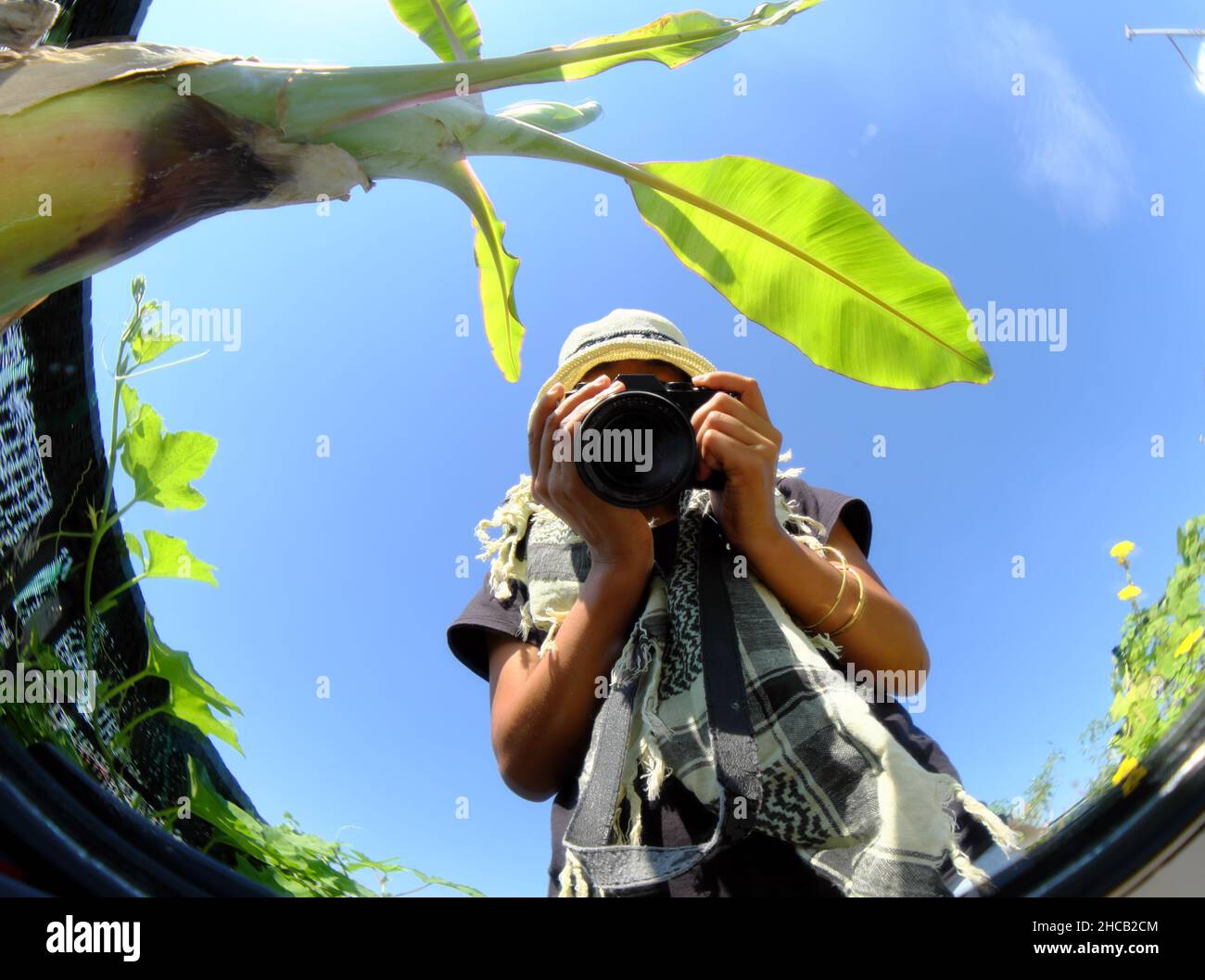 Sorprendente fotografo vietnamita femmina scattare foto con selfie attraverso specchi convessi, donna seduta su sedia di legno, macchina fotografica in mano, sotto banana albero, cielo blu Foto Stock