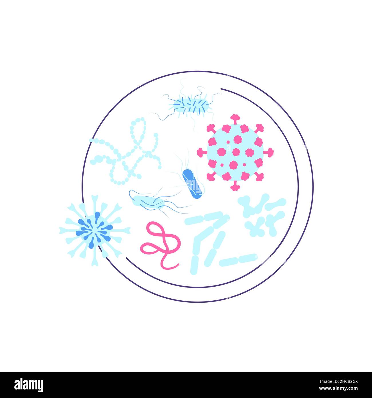 Capsula di Petri con vari batteri e virus. Scienza, chimica ed esplorazione simbolo. Illustrazione del vettore Flat Art Illustrazione Vettoriale