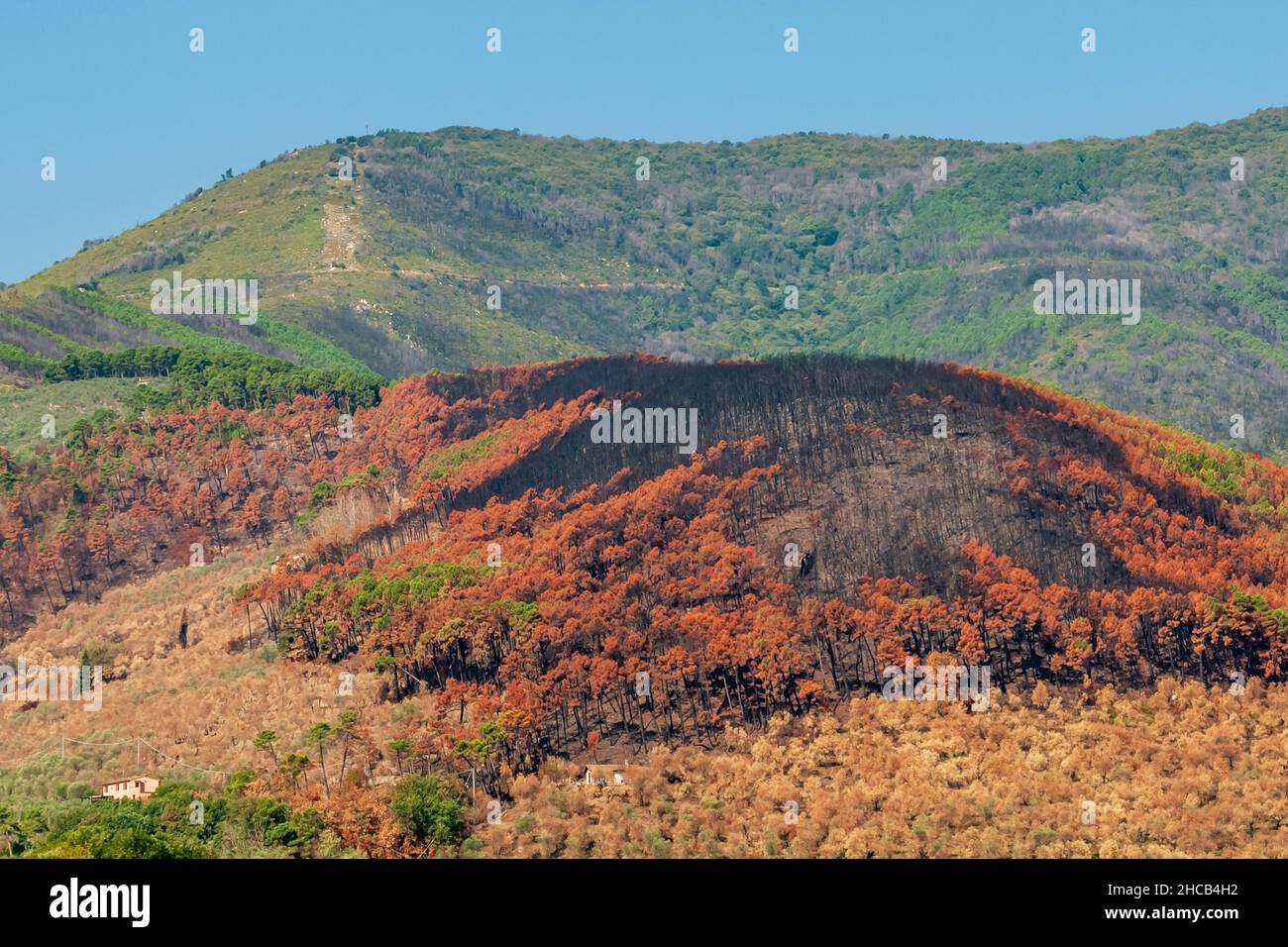 Un vasto incendio distrusse i boschi e raggiunse le case di Vicopisano, Pisa, Italia Foto Stock