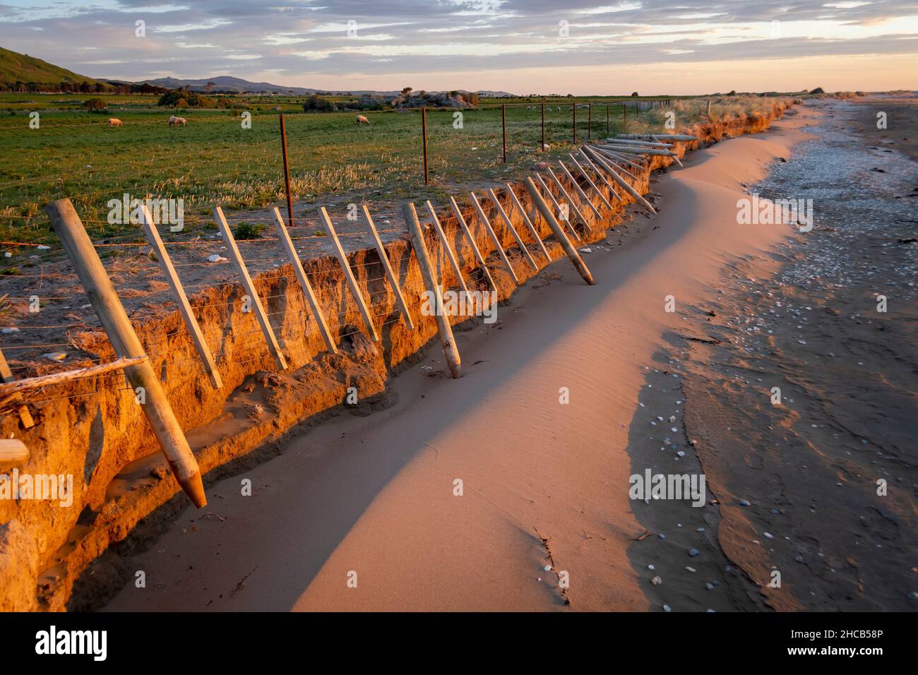 Recinzione cadere sulla spiaggia, a causa di erosione costiera, Glenburn, Wairarapa, Isola del Nord, Nuova Zelanda Foto Stock