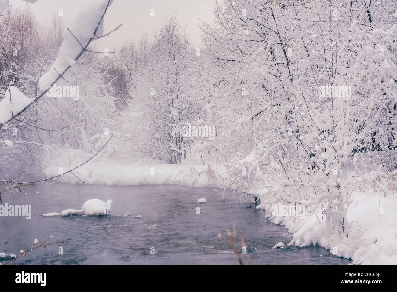 Scena invernale di alberi innevati e fiume Foto Stock