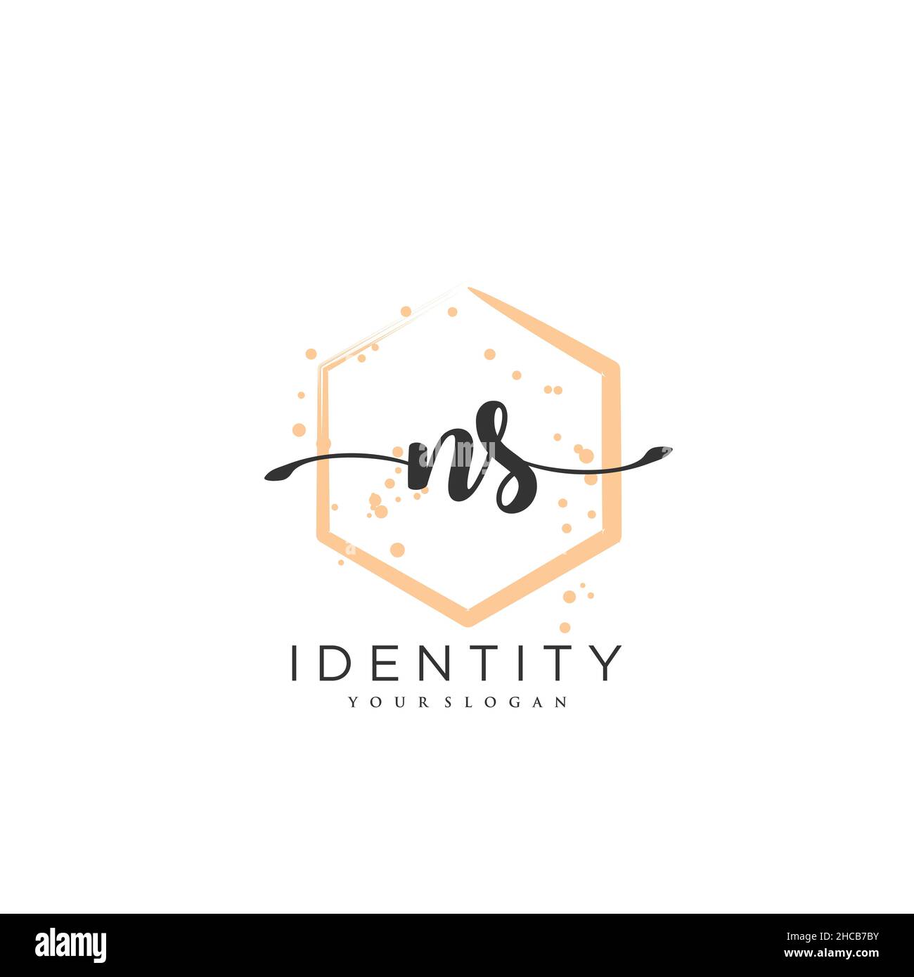Ns disegno a mano vettore arte di firma iniziale, matrimonio, moda, gioielleria, boutique, floreale e botanica con modello creativo per qualsiasi azienda Illustrazione Vettoriale
